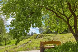 Родники Родники